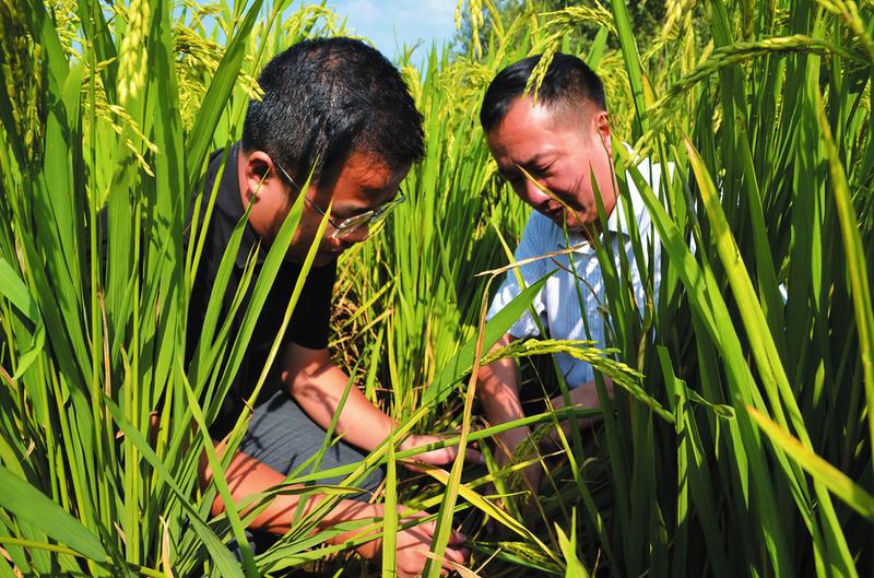 �쿴���wʭΣ����r