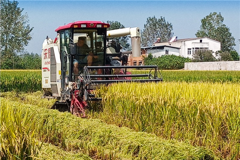 ����ˮ���_��ո�