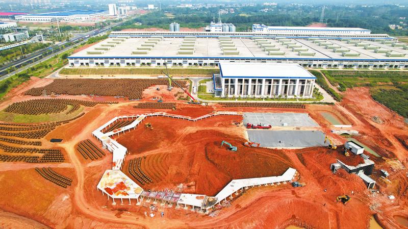 ���w����