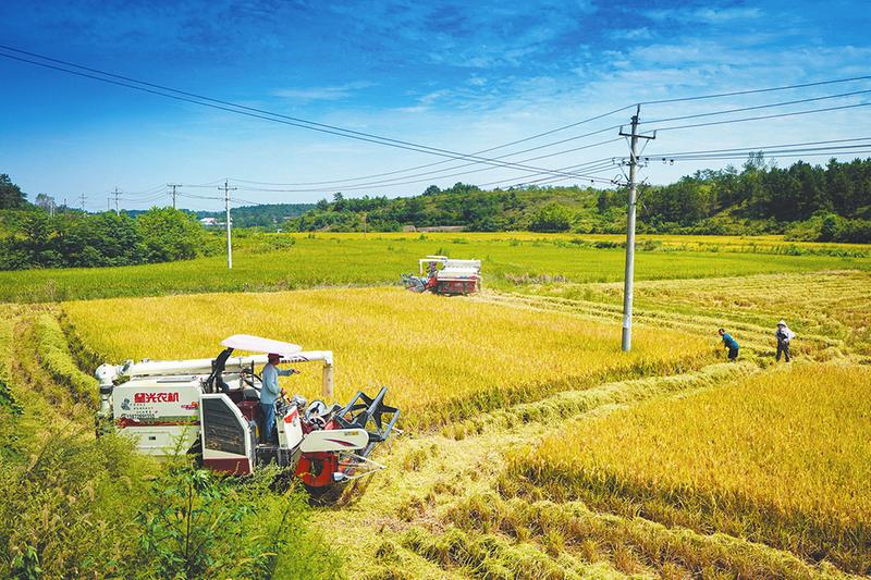 �S�յ�ϲ��