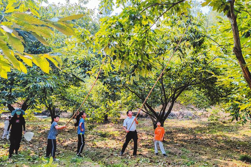 ��ժ�Ŀ옷(l��)