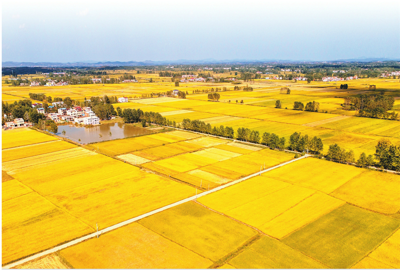 ���S�ݡ����