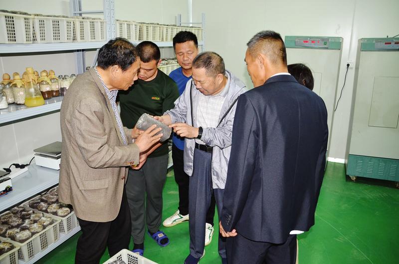 ���g(sh��)ָ��(d��o)