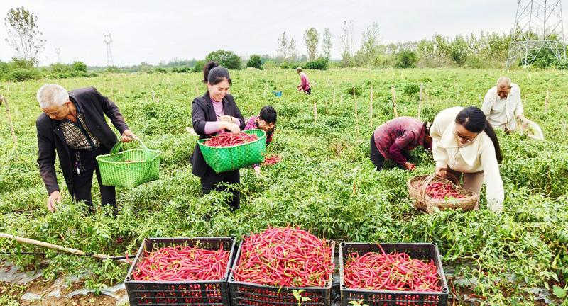 �ۍ���������t��