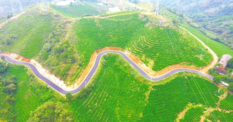 ���조���֐�ɫ���L�����B(t��i)�¾�