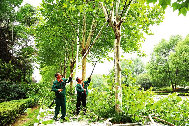 ���ľ���� ���������