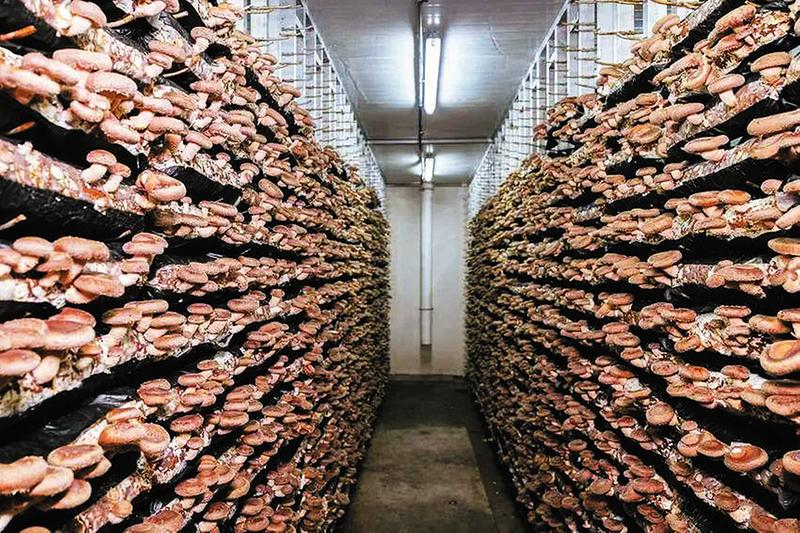 ��һ�乽������@�G�� �����S�h�㹽�a(ch��n)�I(y��)�ĳ��L�c͑׃