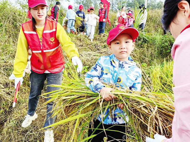 �H���w���