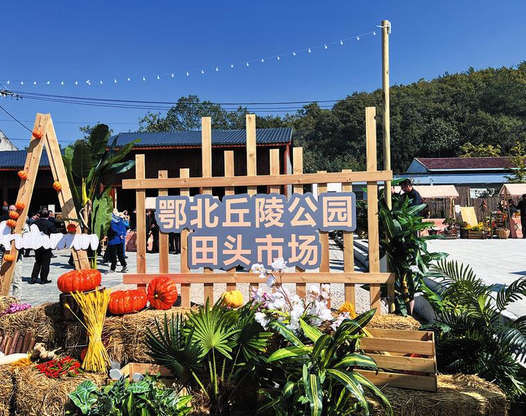 �������깫�@���^�Ј�