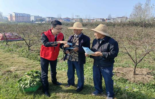 �S�h���磺�ѻ��������͵����g���^