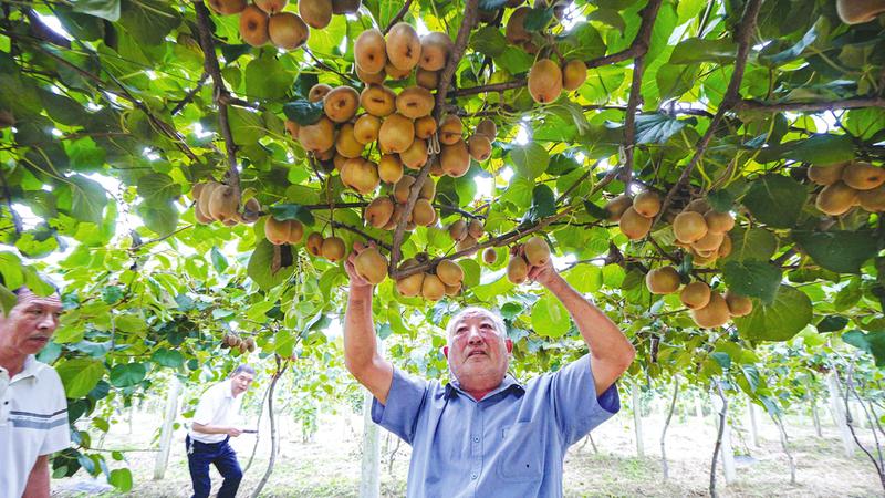 ���իJ����