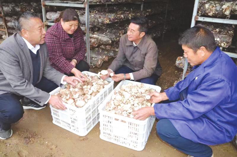 ָ��(d��o)�Nֲ���g(sh��)