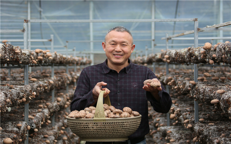 �¸����^��