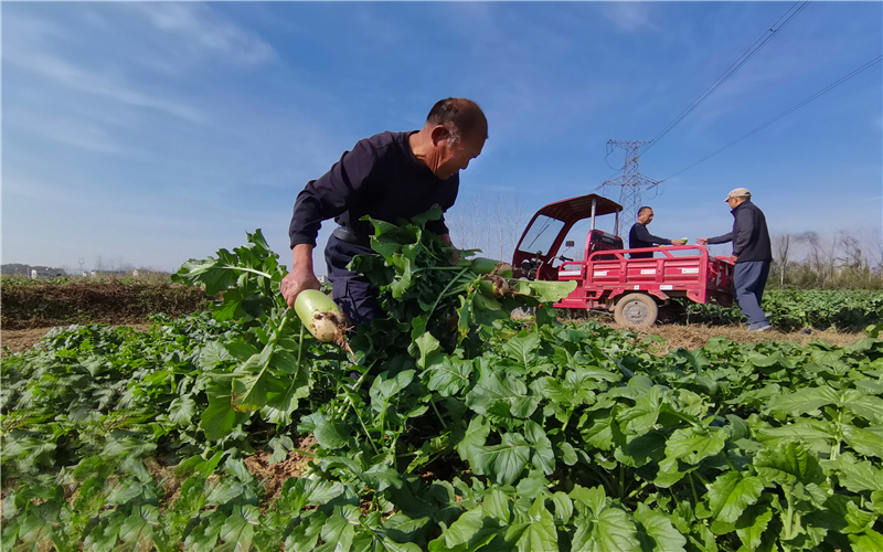 �}���S��