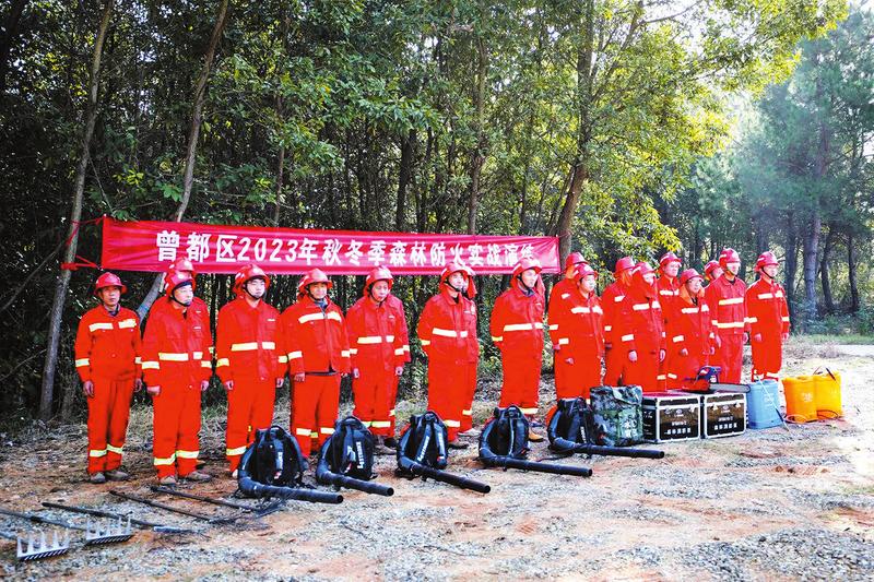 ɭ�ַ���(y��ng)������(zh��n)�ݾ�