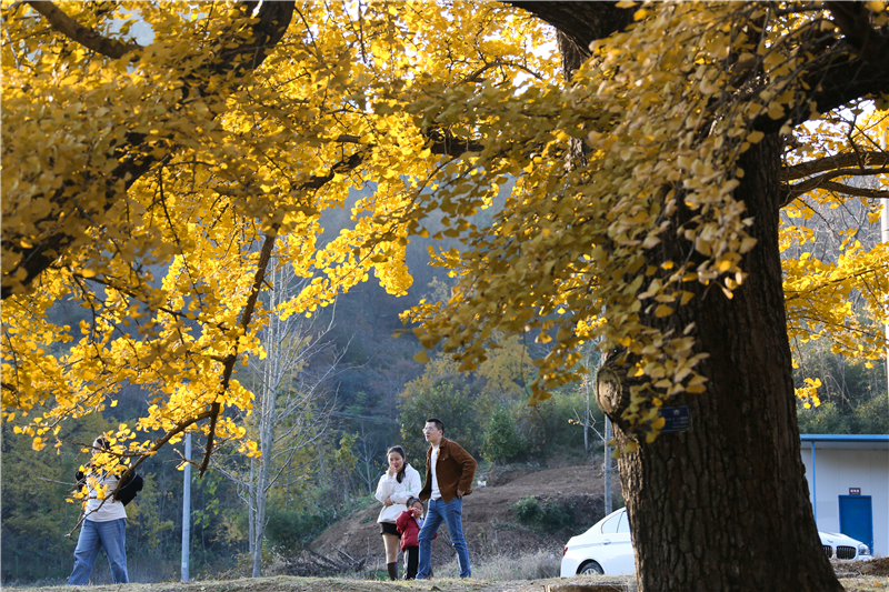 �l(xi��ng)���箋