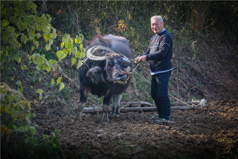 �r(n��ng)����