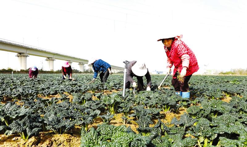 ���������ࣺ��һ�o�����S��ζ��