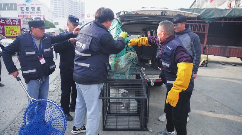 Ȯ������(li��n)�ψ�(zh��)���Є�