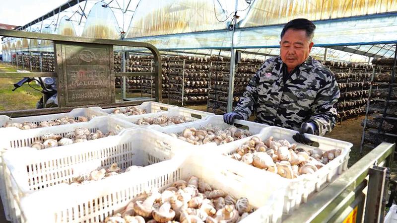 �S�h�ݵ��(zh��n)��������֮�l(xi��ng)����ժæ