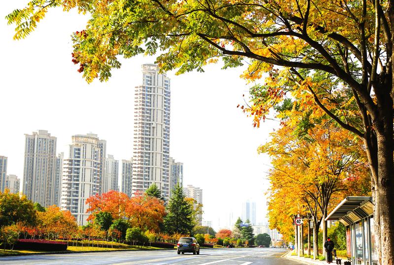 �ǅ^(q��)���^