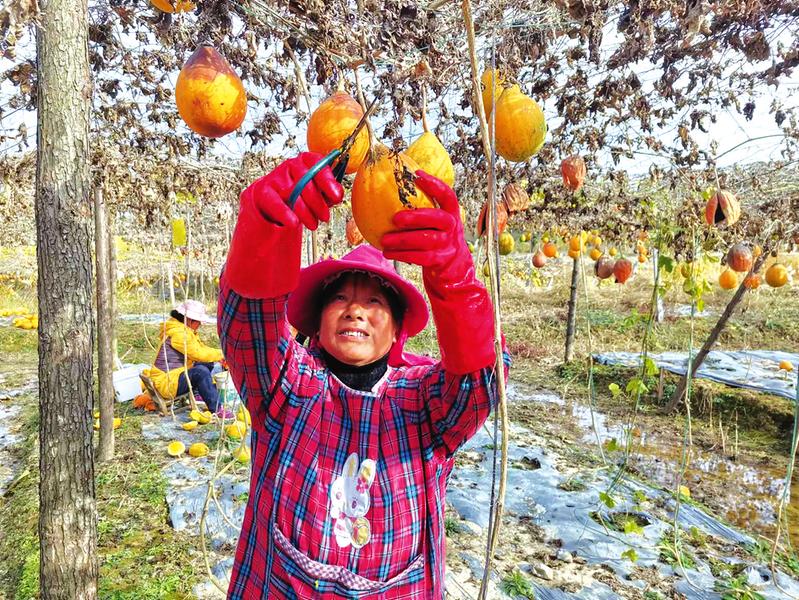 ��ɽ�壺���V���ºá��S���� ���w�����Y���T����