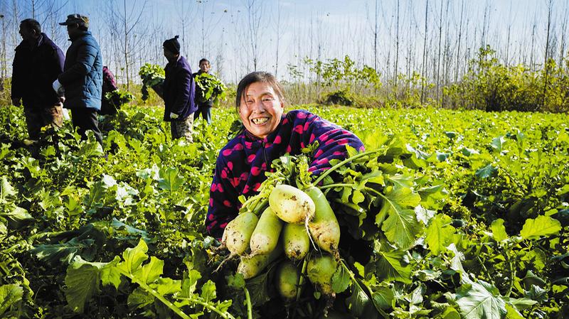 �S�h�ƿh�(zh��n)���� ��С�}�����С������顱