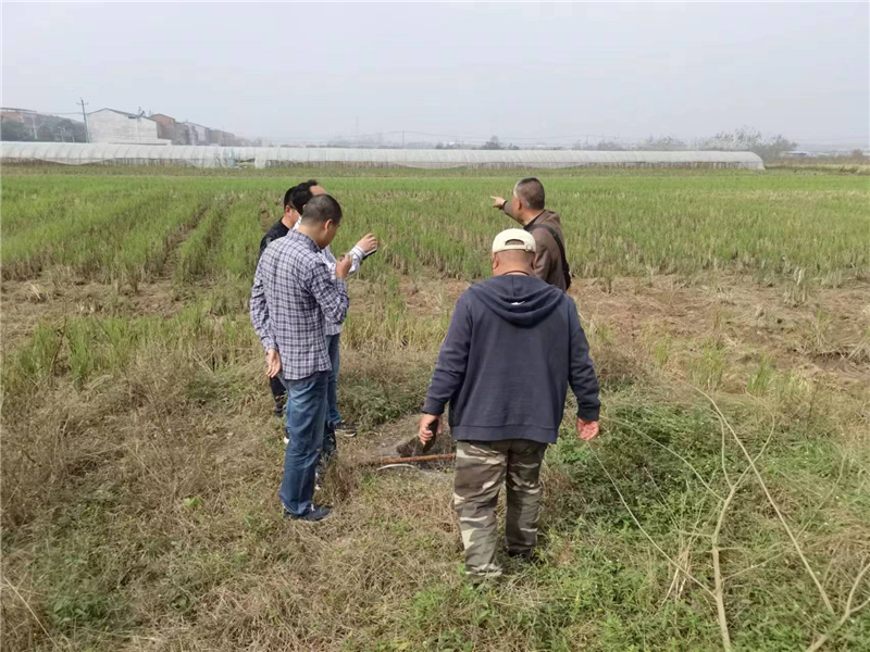 �����^(q��)���þָ�Ч�����(xi��ng)Ŀ���O(sh��)