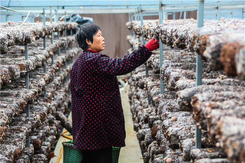 �㹽���a(ch��n)