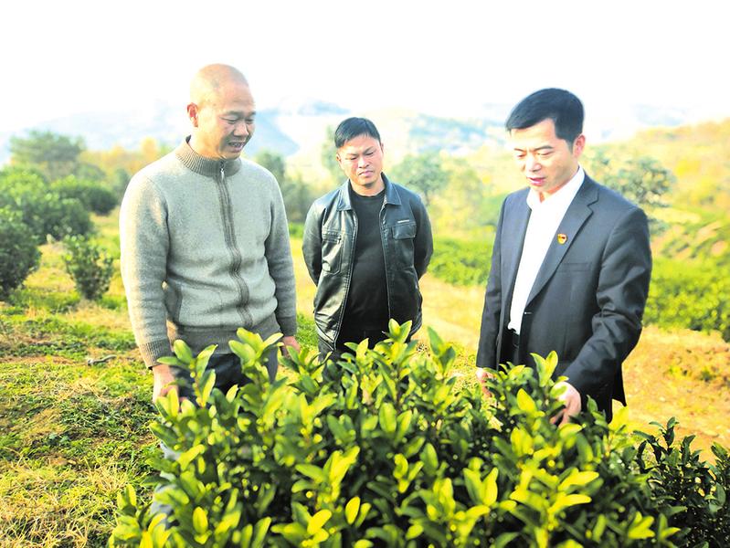 �{(di��o)�Юa(ch��n)�I(y��)�l(f��)չ��r