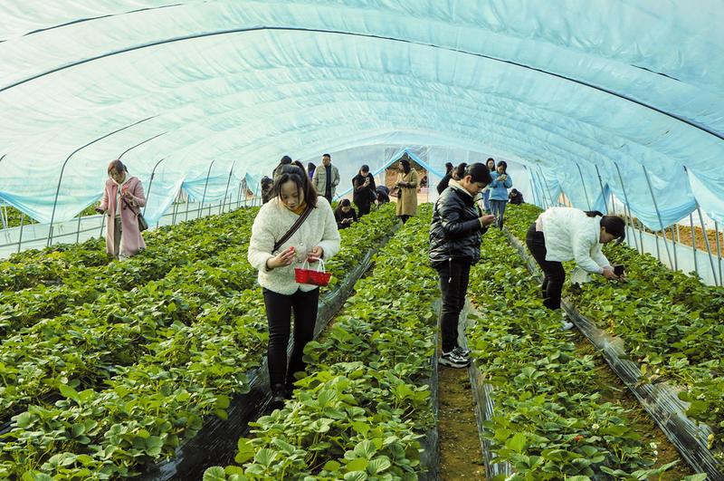 ��ݮ��ժ����(d��ng)�r