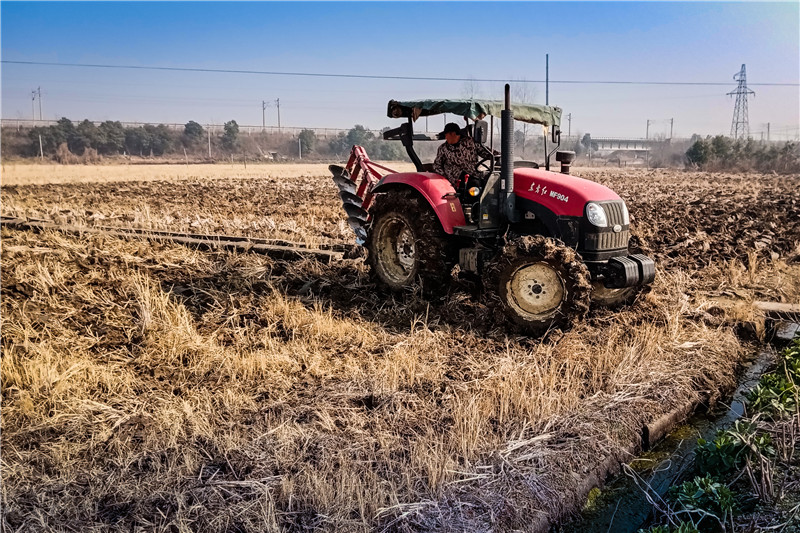 �������g����