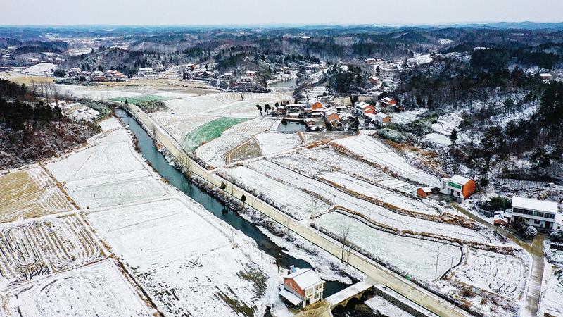 ��ѩ���w������