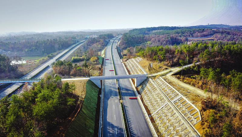 �S����Ԫ������(ji��)���S��n���������Y�������ȡ�