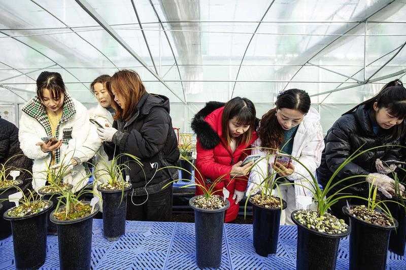 �m���a(ch��n)�I(y��)