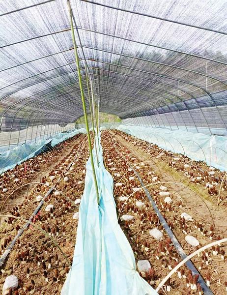 �̺��(zh��n)�Ͻ�壺 ��Ǿ����¸�������܊��