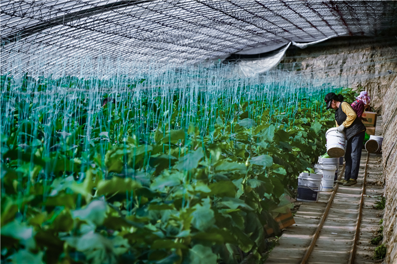 �a(ch��n)�I(y��)����