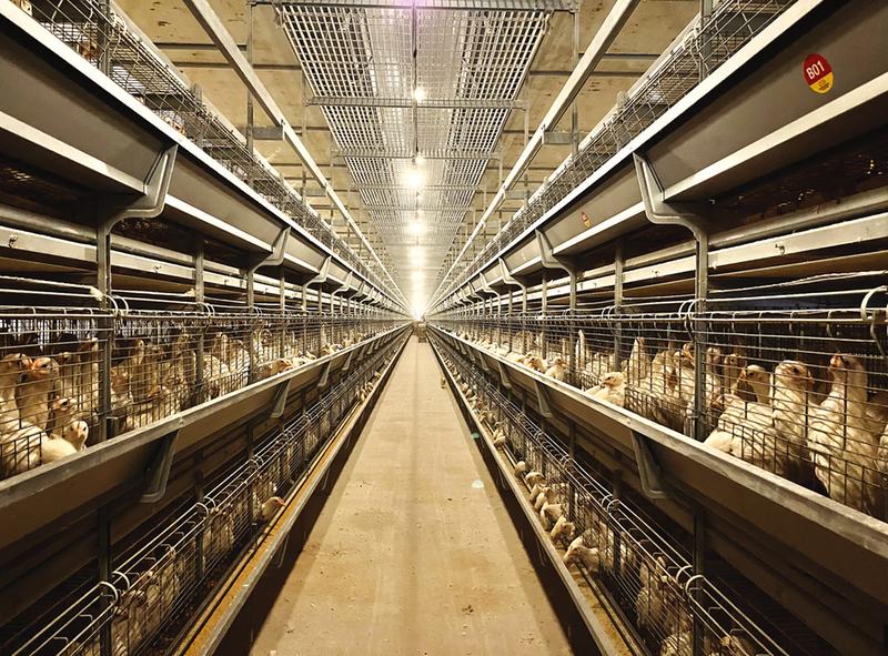 �B(y��ng)�u�I(y��)����_(k��i)��