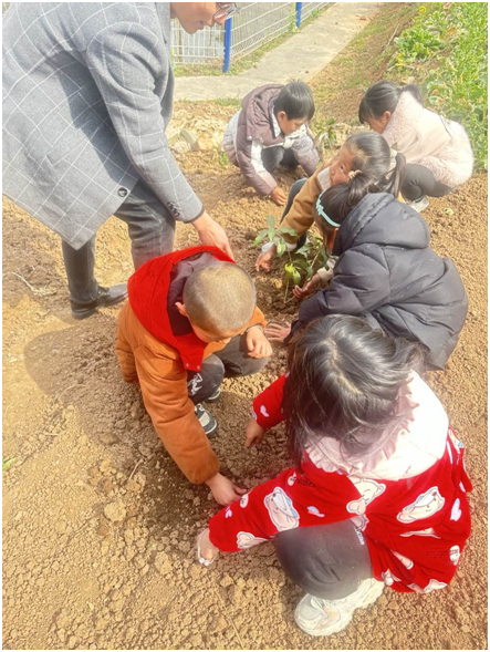 �S�h����(zh��n)����С�W(xu��)�_(k��i)չ�����ڄ�С�пØ�(sh��)�����}ֲ��(sh��)��(ji��)���(d��ng)