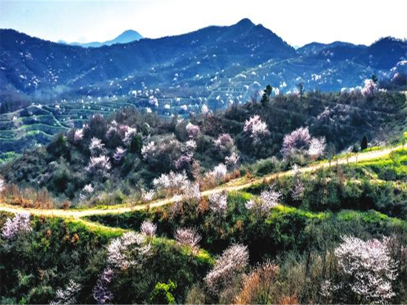 �Ի���ý�d���� �����S�h���֙ѻ��Ļ�����չ���ʆ�Ļ