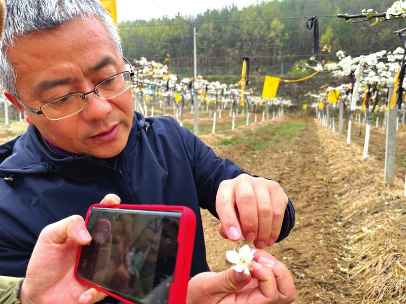 �Vˮ�������ܡ��Ƽ�����ʮ��