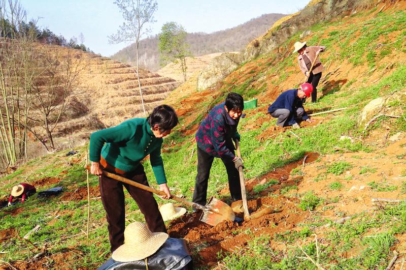 �ԷN�Ͳ���