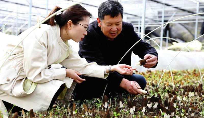 ��ӛ���߻��ӡ������L�þ��I(y��)��ԇ�������Ǿ�������䡱