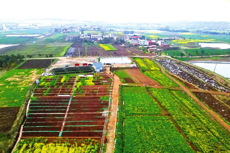 �����ֵ����g�ݴ壺 �������ˈ@�����l(xi��ng)�����d����