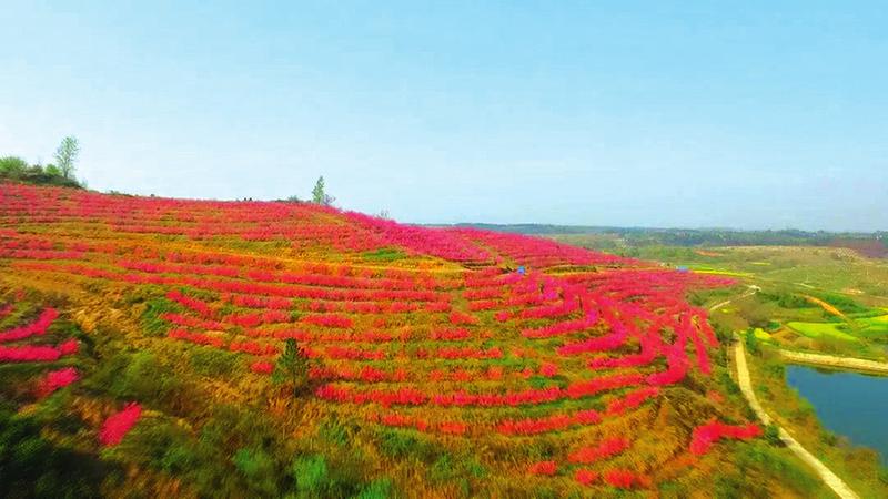 ����(zh��n)�d�Ӵ壺�BƬ�һ������� �r(n��ng)���ںϸ��r(n��ng)��