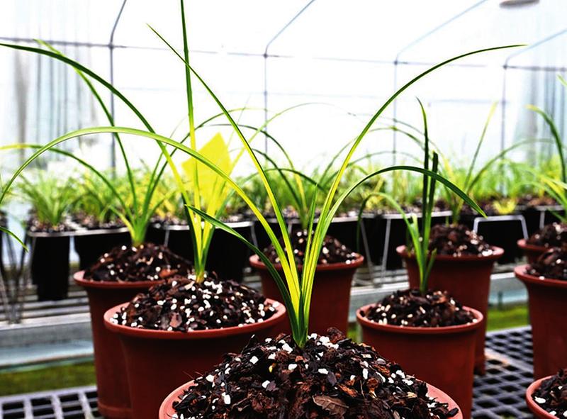 ��ӛ���߻��ӡ��ε��(zh��n)���A�壺�m���h��M�@��