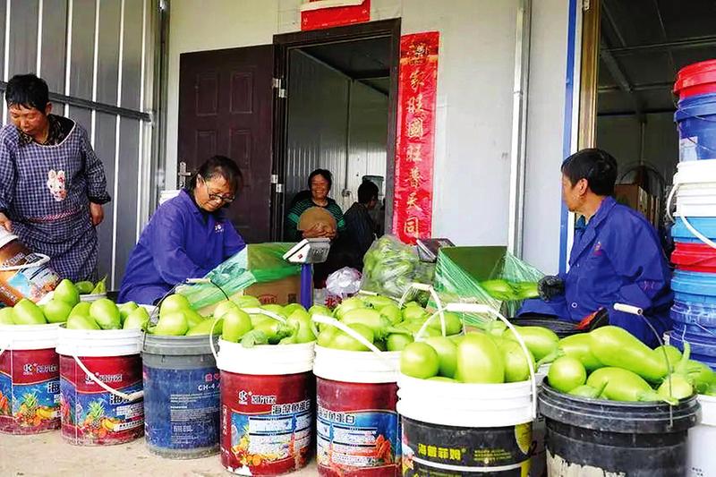 ��ӛ���߻��ӡ������(zh��n)�ܼ�壺�����،��¸�·