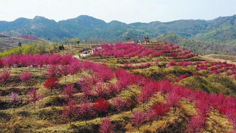 ǧ�����Ĉ@