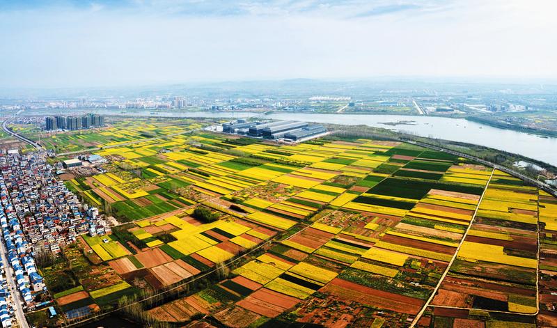 �����Į���