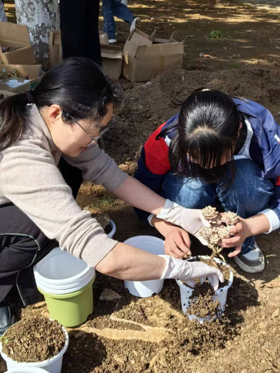 �߳��(zh��n)���ČW(xu��)У̽�����p�p�������µĶ���Nֲ�ڄ�(d��ng)�����n��